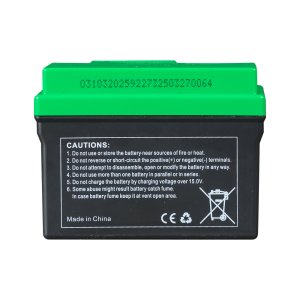 Аккумулятор FUBAG li-ion 3Ah для инверторного генератора TI 11000 A ES (арт. 646211) купить в Ижевске
